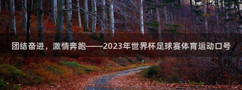 vsport体育官网下载:团结奋进,激情奔跑——2023年世
