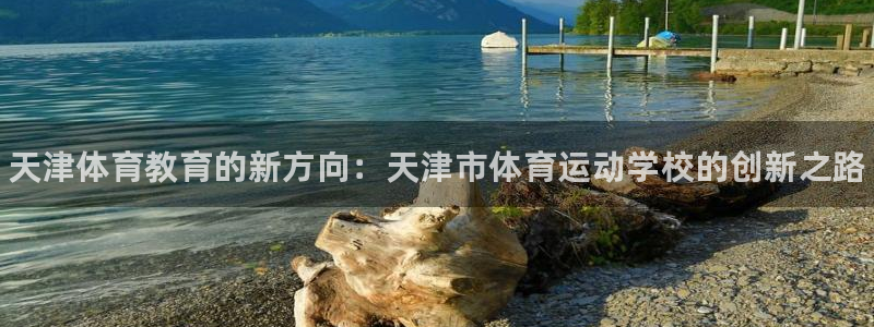 vsport体育官方正版app集团官网网址:天津体育教育的新