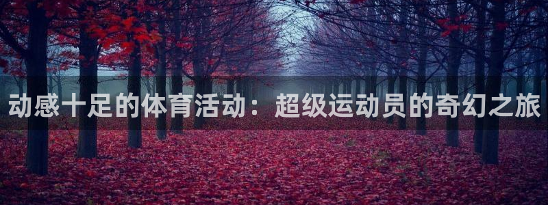 vsport体育官方正版app集团官网网址:动感十足的体育活