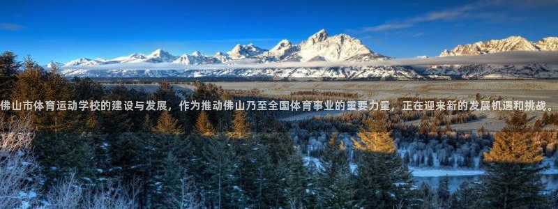 注册vsport体育官方正版app:佛山市体育运动学校的建设